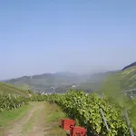 아파트 Weingut Matthias Dauns 레일