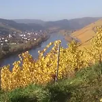 Weingut Matthias Dauns
