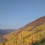 아파트 Weingut Matthias Dauns 레일