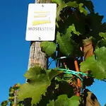 Apartment Weingut Matthias Dauns