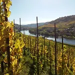 Weingut Matthias Dauns * 레일