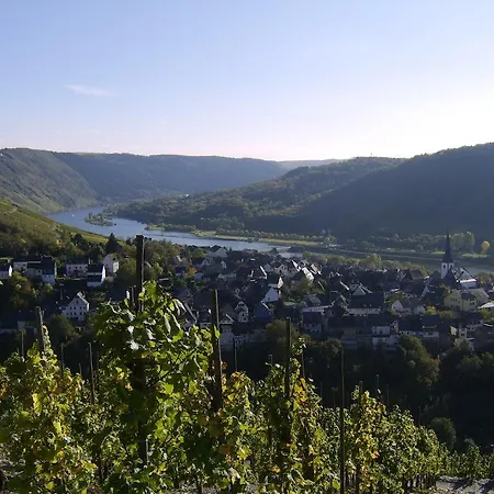 Weingut Matthias Dauns 레일