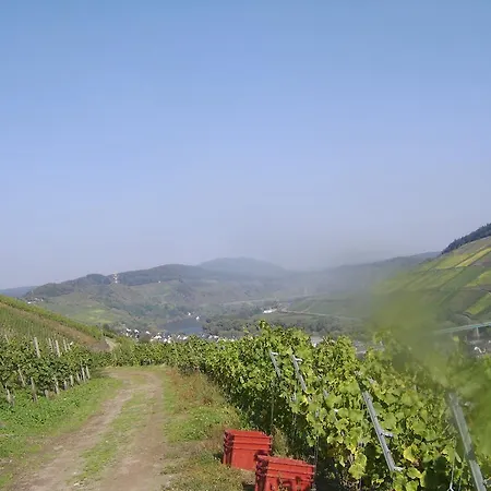 아파트 Weingut Matthias Dauns 레일