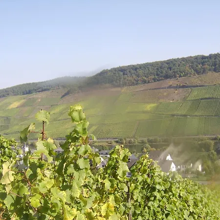 Weingut Matthias Dauns דירה