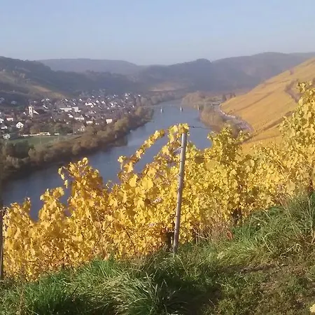 Weingut Matthias Dauns