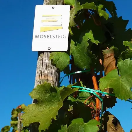 아파트 Weingut Matthias Dauns