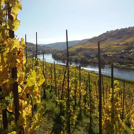 Weingut Matthias Dauns * 레일