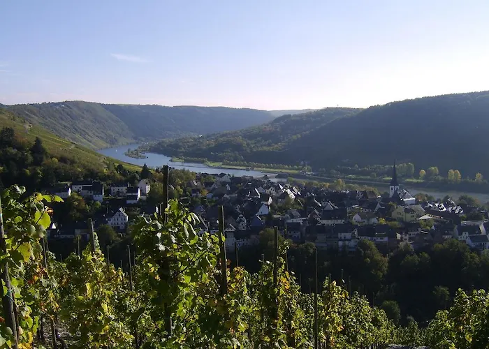 Weingut Matthias Dauns Reil