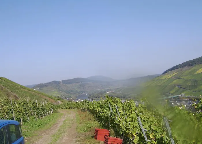 Apartment Weingut Matthias Dauns Reil