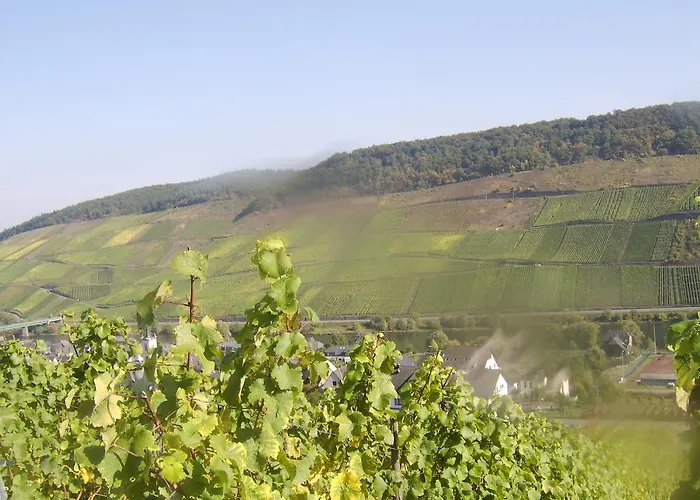 Weingut Matthias Dauns דירה