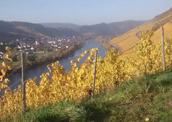 Weingut Matthias Dauns