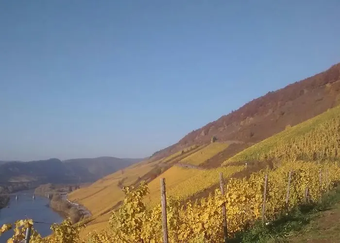 Apartment Weingut Matthias Dauns Reil