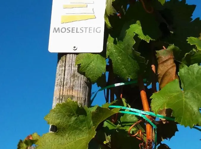 דירה Weingut Matthias Dauns