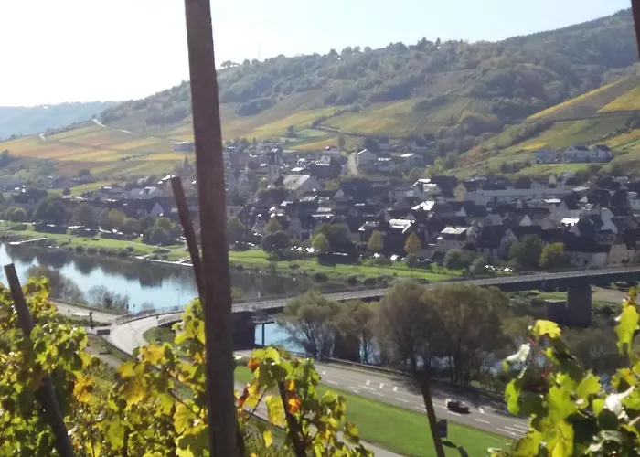 Apartment Weingut Matthias Dauns *